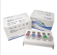 PCR Kit